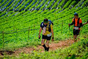 BIB: 9417
                            <button type="button" onclick="openModal(19163598)" class="btn btn-primary btn-sm float-right btn-popup" data-toggle="modal" data-target=".modal-high-quality">
                        <i class="fas fa-shopping-cart"></i> Add to Cart
                    </button>
                                            <button type="button" onclick="isThisMe(19163598, true)" class="btn btn-success btn-sm float-right btn-popup btn-isme hidden" data-toggle="tooltip" data-placement="bottom" title="นี่คือรูปของคุณใช่ไหม คลิกที่นี่เพื่อเอาเข้าอัลบั้ม">
                        <i class="fas fa-plus"></i> Add to album
                    </button>
                    <button type="button" onclick="isThisMe(19163598, false)" class="btn btn-warning btn-sm float-right btn-popup btn-isnotme hidden">
                        <i class="fas fa-ban"></i> Remove from album
                    </button>